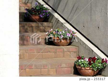 階段の花器 255317