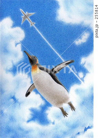 空飛ぶペンギンのイラスト素材 255814 Pixta