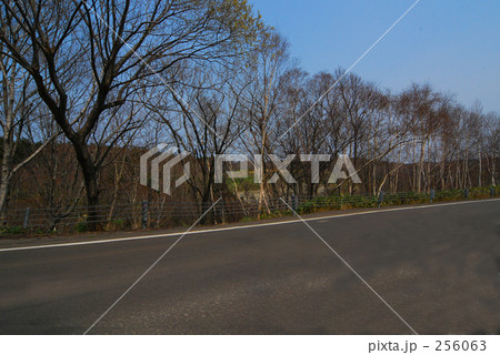 林道 256063