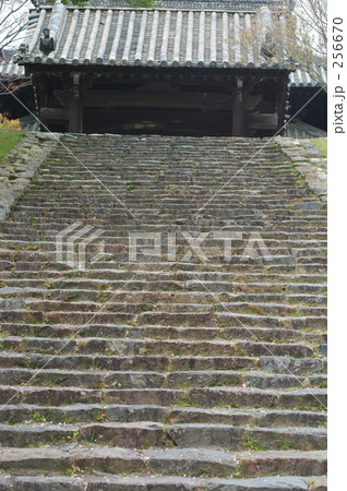 東大寺戒壇院の石段 東大寺戒壇院の石段 256670