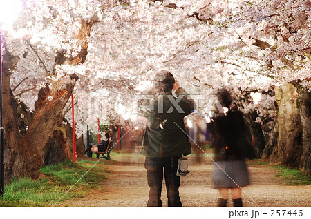 桜のトンネル 257446