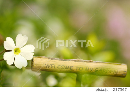 WELCOME TO MY GARDEN WELCOME TO MY GARDEN 257567