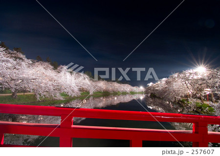 春陽橋から桜のトンネル 春陽橋から桜のトンネル 257607