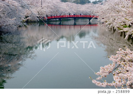 弘前城　西濠 258899