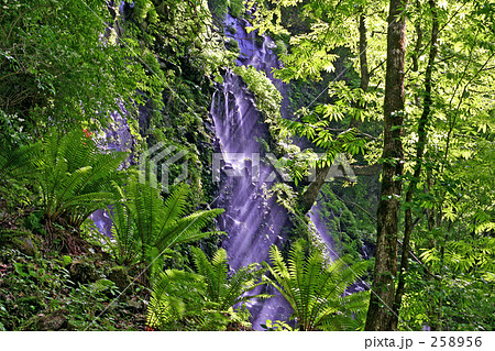 無名の滝 258956