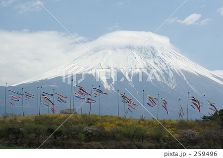 富士山と鯉のぼり 富士山と鯉のぼり 259496