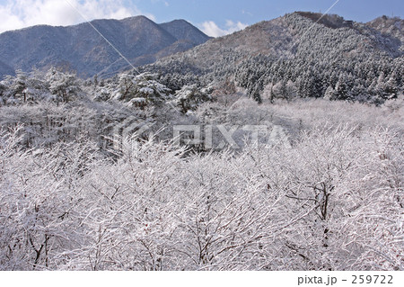 白銀の大谷川流域 259722