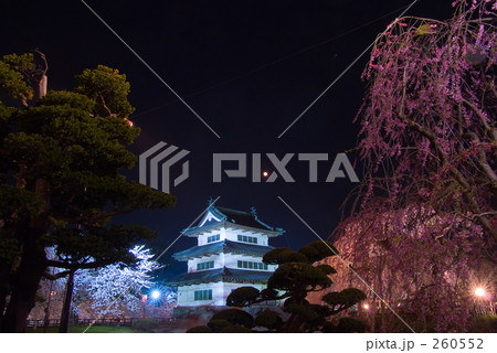 松と枝垂れと弘前城 260552