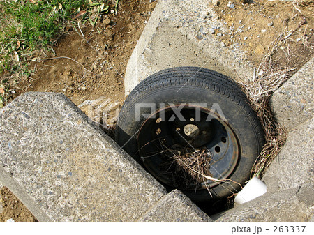 タイア タイア 263337