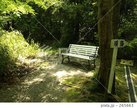 森のベンチ 265663