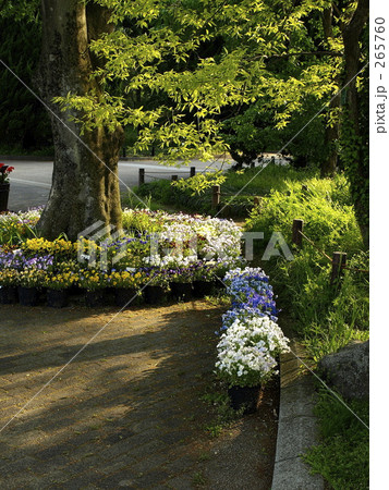 公園3 265760