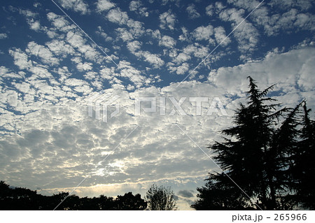 雲10 雲10 265966