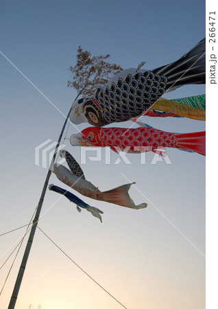 ひこうき雲より高いこいのぼり 266471