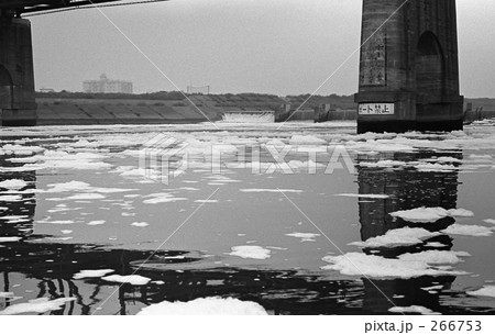 多摩川・ふるさとの川　昭和４７年 266753