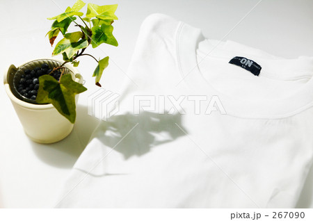 Tシャツと日差し 267090