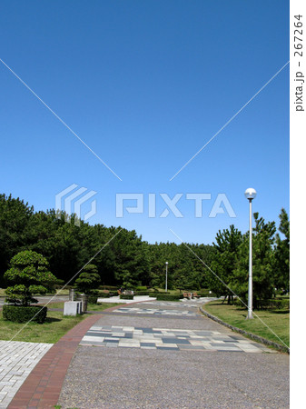 公園と青空 267264