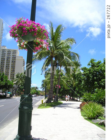 カラカウア通り 267722