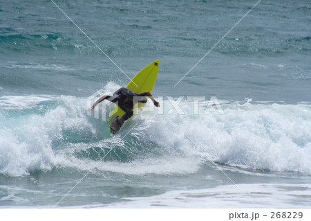 オフザリップ 268229