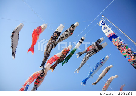 こいのぼり 268231