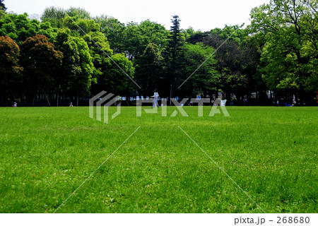 芝生ひろば 268680