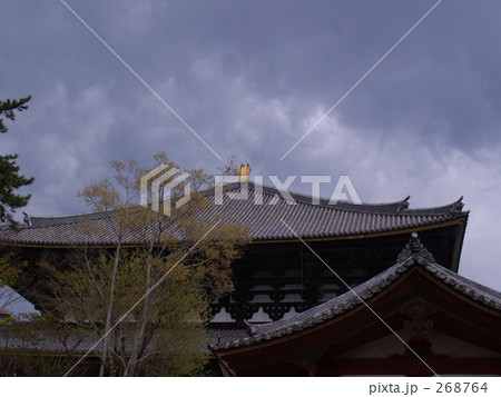 群雲覆う大仏殿 群雲覆う大仏殿 268764