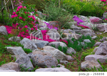 「ゆいの花公園」ロックガーデン－０１ 268898