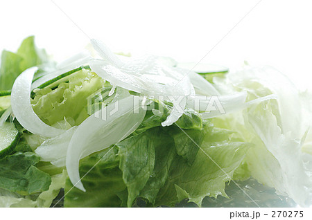 野菜サラダ 野菜サラダ 270275
