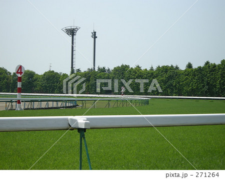 京都競馬場７ 271264