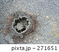 切り株 271651