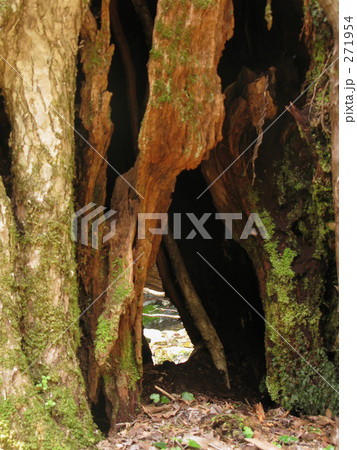 小窓のある部屋 小窓のある部屋 271954