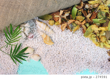 南の島サンゴの浜辺のメッセージカード 274591