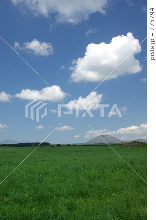 くも（縦構図） 276794