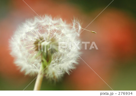 さよなら~ さよなら~ 276934