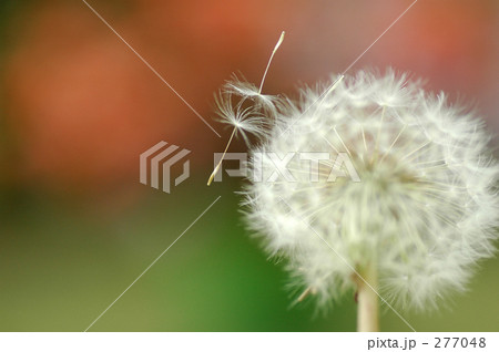 同じ未来へ。。。 277048