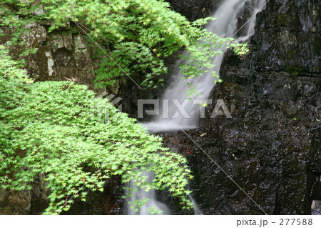 滝 滝 277588
