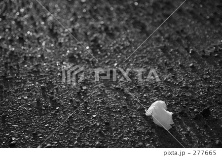 道路とティッシュ 277665