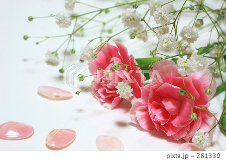 花束と桜貝 花束と桜貝 281330