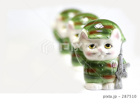 迷彩猫-6 287510