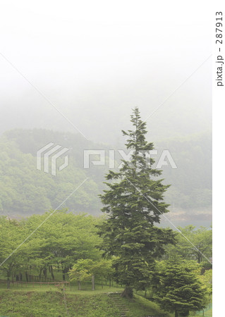 霧が晴れ行く 287913