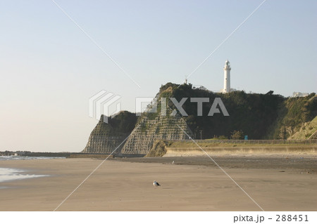 灯台と海水浴場 288451