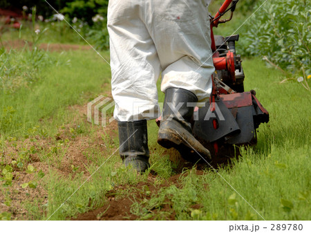 耕作作業 289780
