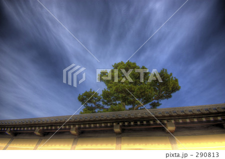 京都御苑の壁面 290813