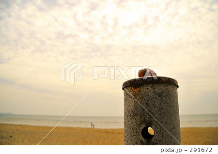 忘れ物 忘れ物 291672