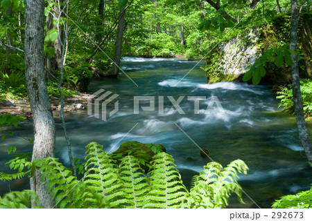 奥入瀬渓流 292673