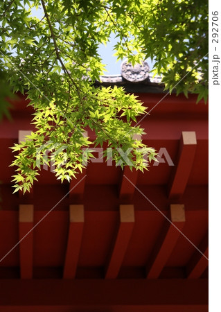 しゅともえぎいろ 292706