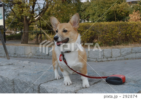 公園でひとやすみ 公園でひとやすみ 292874