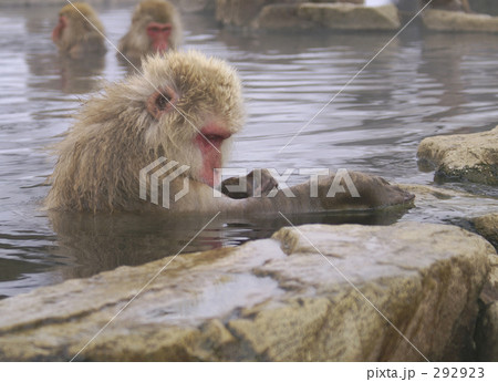 自分でお手入れ 自分でお手入れ 292923