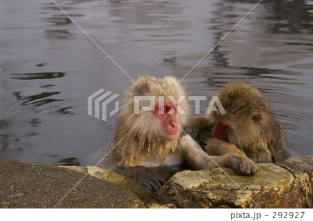 こってますねえ・・・ 292927