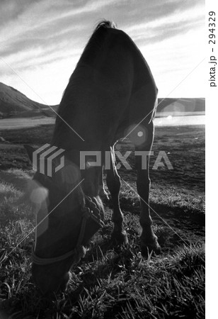 昭和の風景・阿蘇にて　昭和47年　 294329