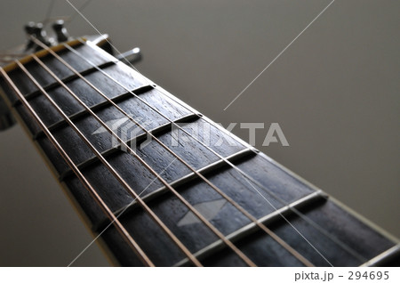 ギターのフレット ギターのフレット 294695
